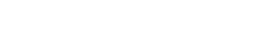 EnaChip